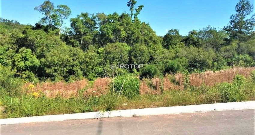Terreno à venda na Rua Desidério Bellé, Lote 90, Santo Antão, Bento Gonçalves