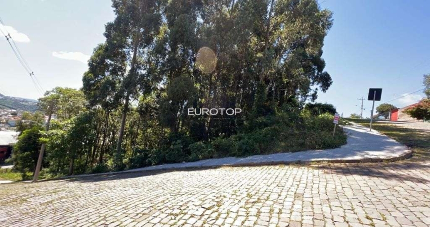 Terreno à venda na Rua Alfredo Francisco Giacomello, Santo Antão, Bento Gonçalves