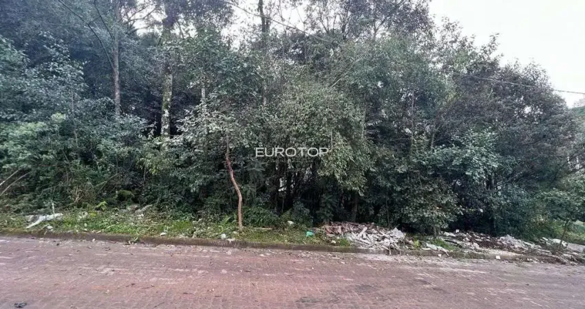 Terreno à venda na Rua Alcides Pozza, 30, Borgo, Bento Gonçalves