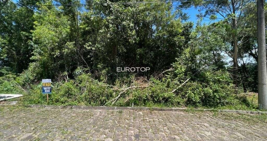 Terreno à venda na Rua Coraina Leite Zorrer, Lote 22A, Santo Antão, Bento Gonçalves