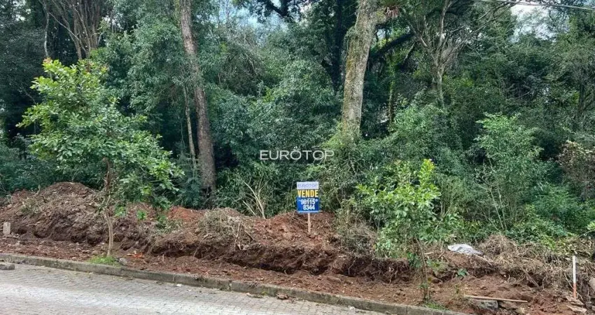 Terreno à venda na Rua Alcides Pozza, lote 27, Borgo, Bento Gonçalves