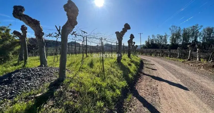 Terreno comercial à venda na Linha Armênio Alta, sn, Zona Rural, Monte Belo do Sul