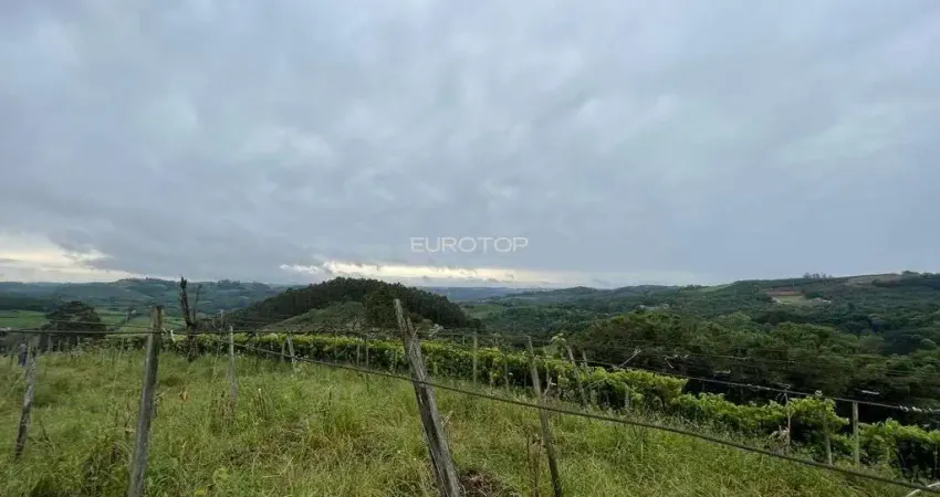 Terreno comercial à venda na interior, 0506, São Pedro, Bento Gonçalves