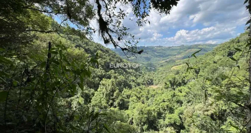 Terreno comercial à venda na comunidade São Paulo, 12, Zona Rural, Monte Belo do Sul