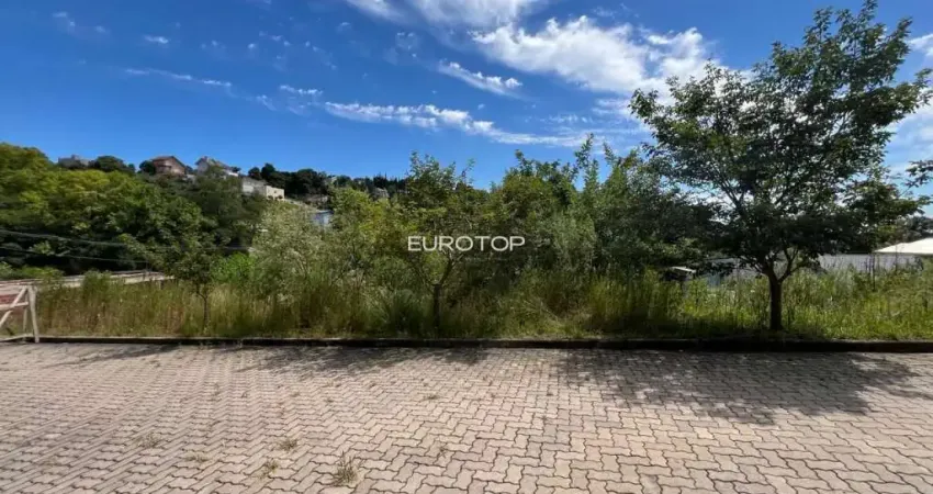 Terreno à venda na Rua Plauto de Abreu, lote 5, Santo Antão, Bento Gonçalves
