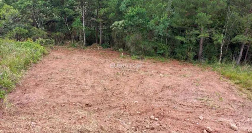 Terreno à venda na Rua Benigno Orlando Panno, Universitário, Bento Gonçalves