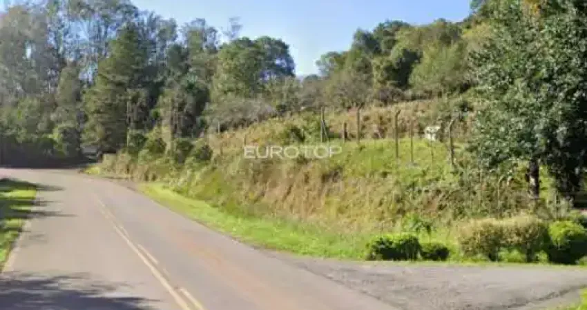Terreno comercial à venda na Linha Palmeiro, sem numero, São Pedro, Bento Gonçalves