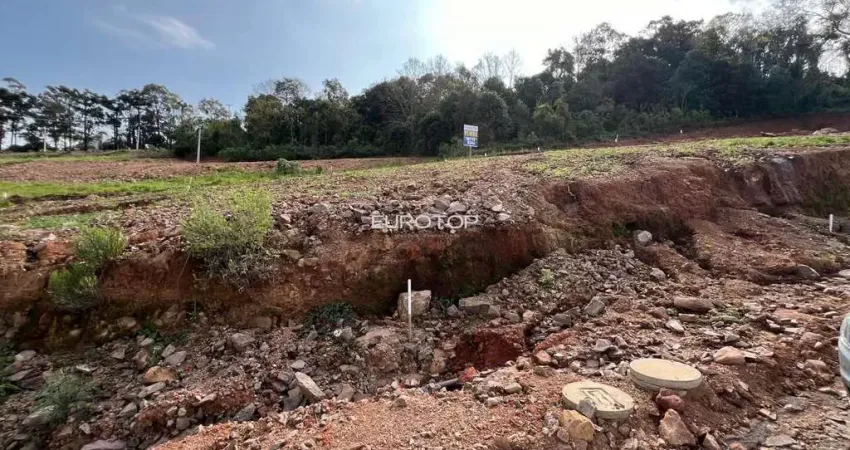 Terreno à venda na Rua Joaquim Toniollo, 50, Caminho da Eulália, Bento Gonçalves