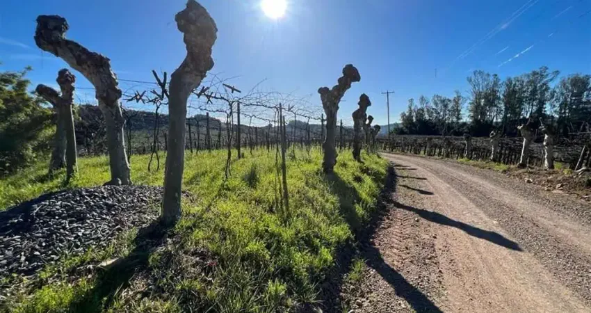 Terreno à venda na Zona Rural, Monte Belo do Sul