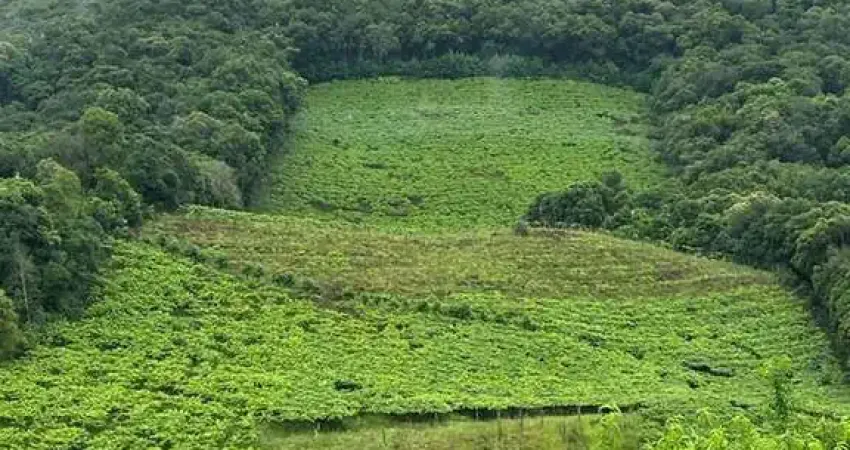 Terreno à venda no São Pedro, Bento Gonçalves 