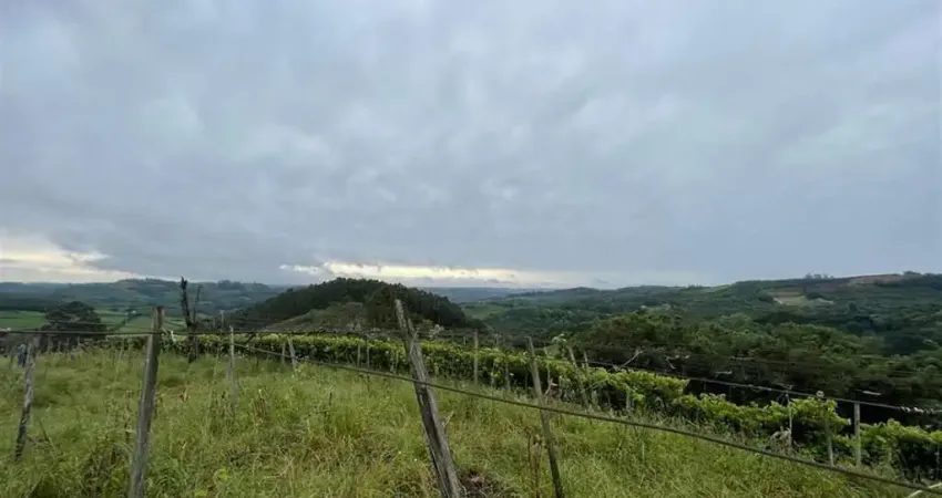 Terreno à venda no São Pedro, Bento Gonçalves 