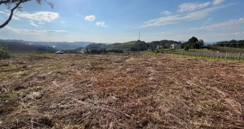 Terreno à venda no Vale dos Vinhedos (Distrito), Bento Gonçalves 