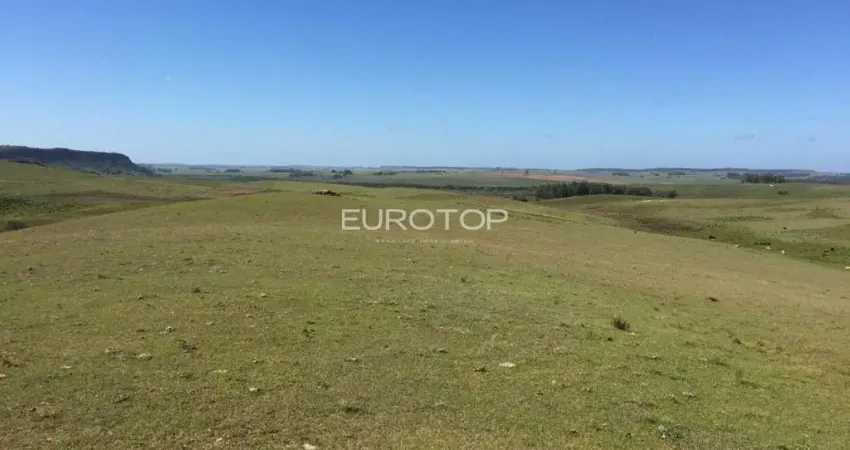 Chácara / sítio à venda no Tabatinga, Santana do Livramento 