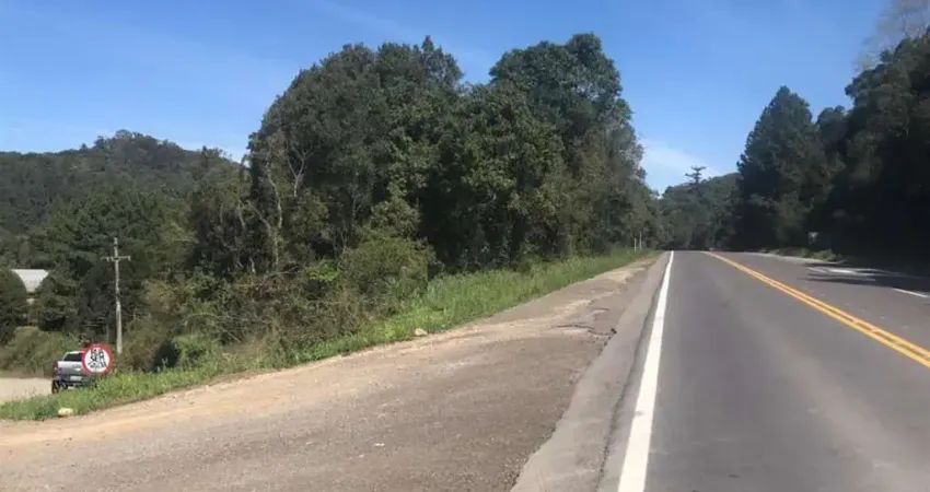 Terreno comercial à venda em Tamandaré, Garibaldi