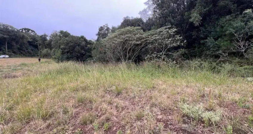 Terreno à venda na Zona Rural, Farroupilha