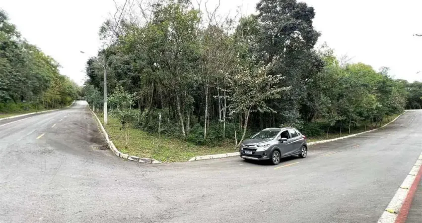 Espetacular terreno de esquina com área de 2.000m²! oportunidade!