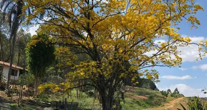 Área para incorporar 500m da estrada do vinho em são roque! estuda parceria