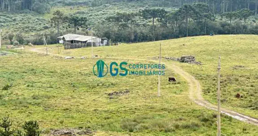 Vendo área rural, com 82 hectares em região turistica em cambará do sul rs