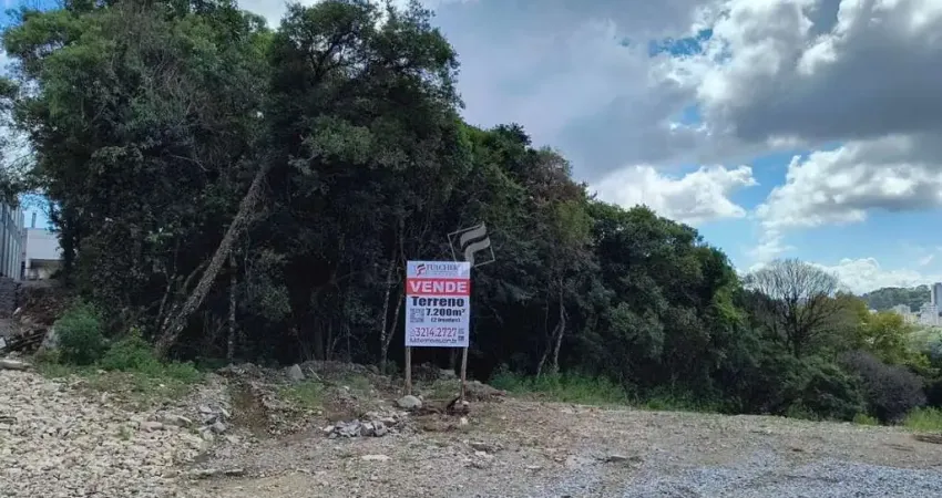 Terreno à venda no Salgado Filho, Caxias do Sul 