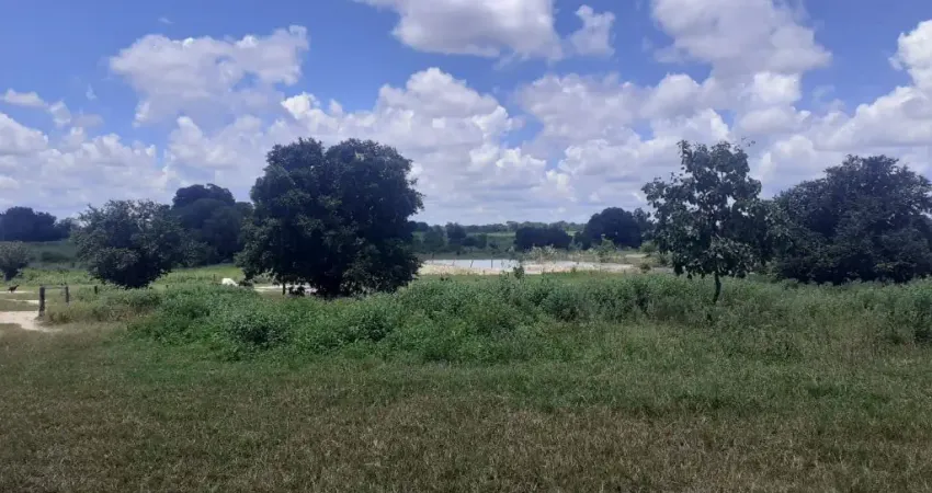Big Fazenda - Plantação grande porte e energia  aeólicz