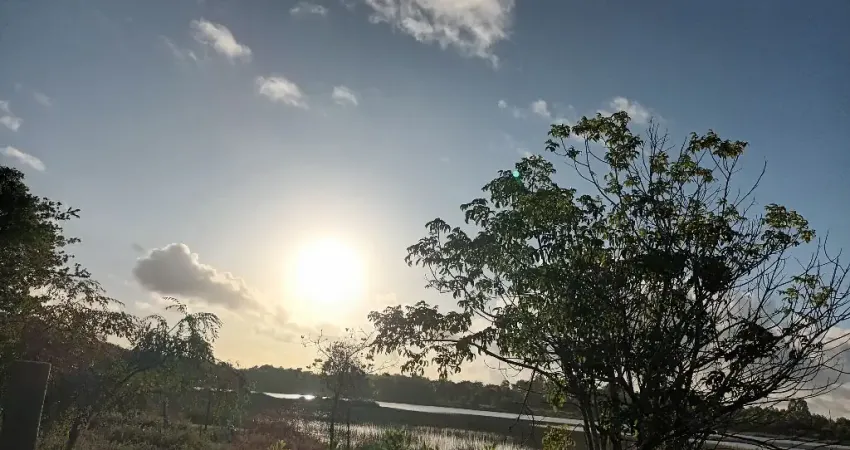 Fazenda à venda na Avenida Floriano Peixoto, 33km, Centro, Portel