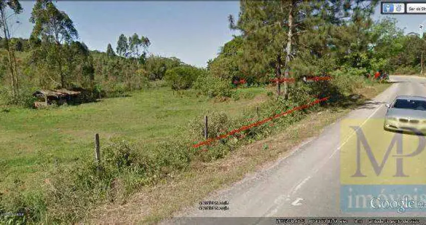 Área à venda, 20000 m² por R$ 2.500.000,00 - Sertãozinho - Barra Velha/SC