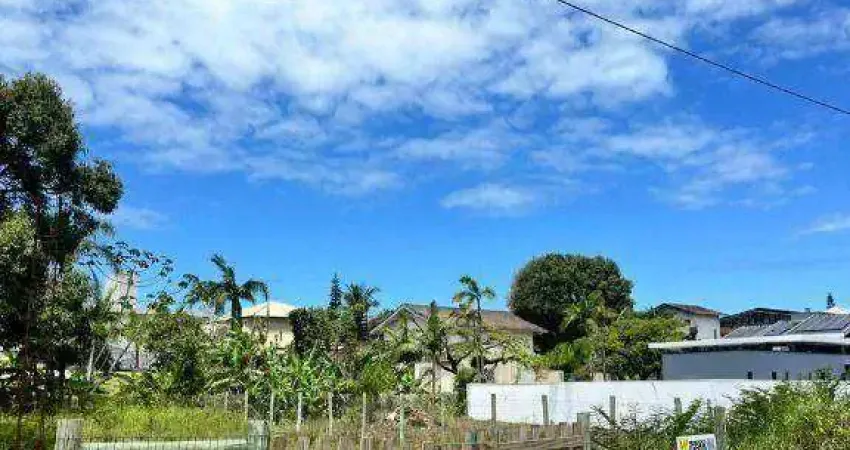 Terreno à venda, 450 m² por r$ 710.000,00 - praia grande - penha/sc