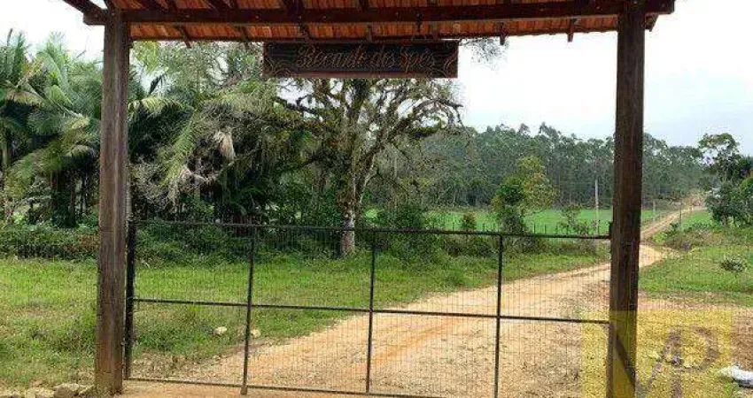 Sítio à venda, 60000 m² por R$ 2.700.000,00 - Zona Rural - São João do Itaperiú/SC