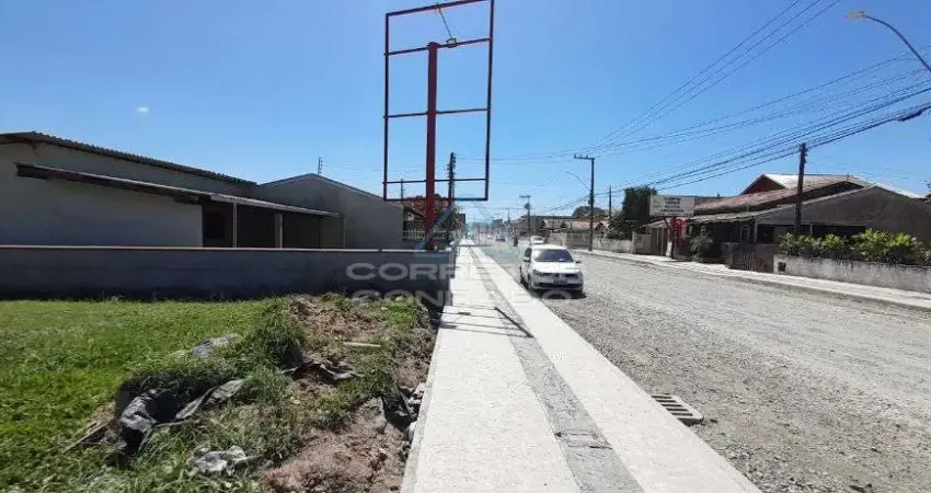 Terreno comercial à venda na Avenida Prefeito José Juvenal Mafra, Meia Praia, Navegantes