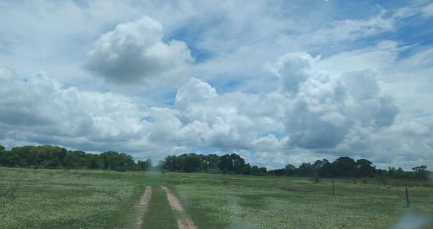 Fazenda à venda na ZONA RURAL, ZONA RURAL, Zona Rural, Aquidauana