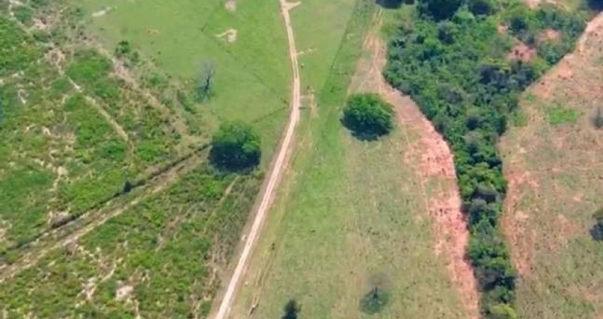 Fazenda à venda na fazenda, Zona Rural, Ribas do Rio Pardo