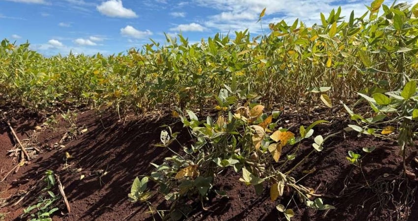 Fazenda à venda na zona rural, 222, Zona Rural, Sidrolândia