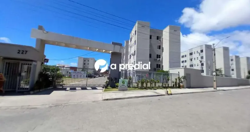 Venha conhecer o lugar perfeito para você e seu pet chamarem de lar!