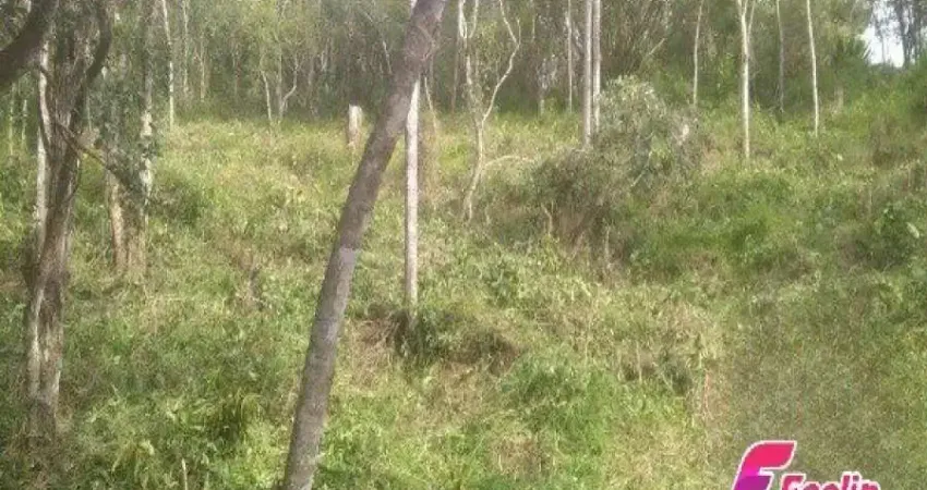 Terreno à venda na Rua Waldemar Figueiró, 1, João Paulo, Florianópolis