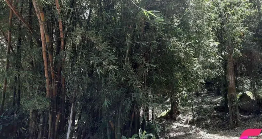 Terreno à venda na Estrada Rozália Paulina Ferreira, 2000, Armação do Pântano do Sul, Florianópolis
