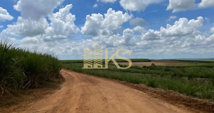 Fazenda à venda na Rua Dona Margarida, Centro, Santa Bárbara D'Oeste