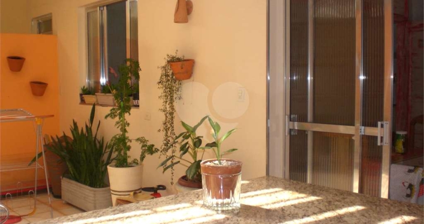 Apartamento com 4 quartos à venda em Campos Elíseos - SP
