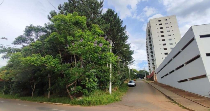 TERRENO Santo André São Leopoldo