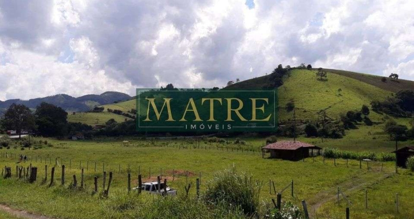 Terreno comercial à venda no Arvão da Roseta, Cambuí 