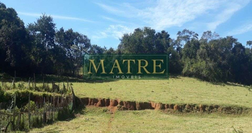 Terreno à venda no Morro Alto, Itupeva 