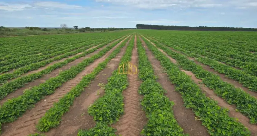 Vende-se uma fazenda com 870 hectares no município de primavera do leste -mt