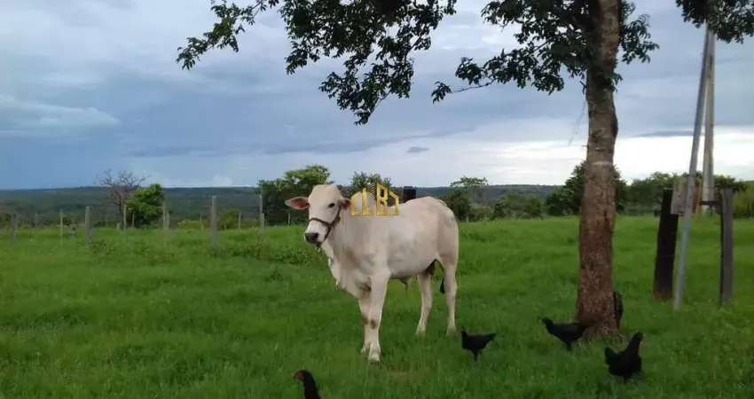 Fazenda à venda na Zona Rural, Centro, Guiratinga