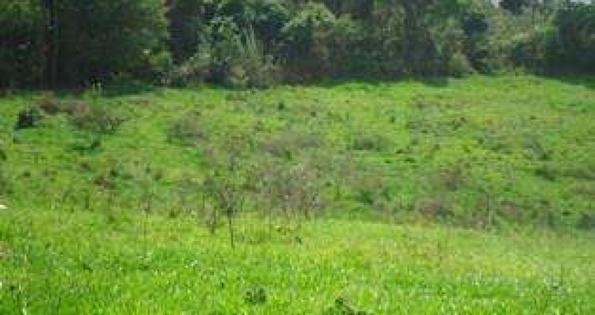 Barracão / Galpão / Depósito à venda na Rua vereda tropical, chácara das Moças Santana de, Chácara Estela, Santana de Parnaíba