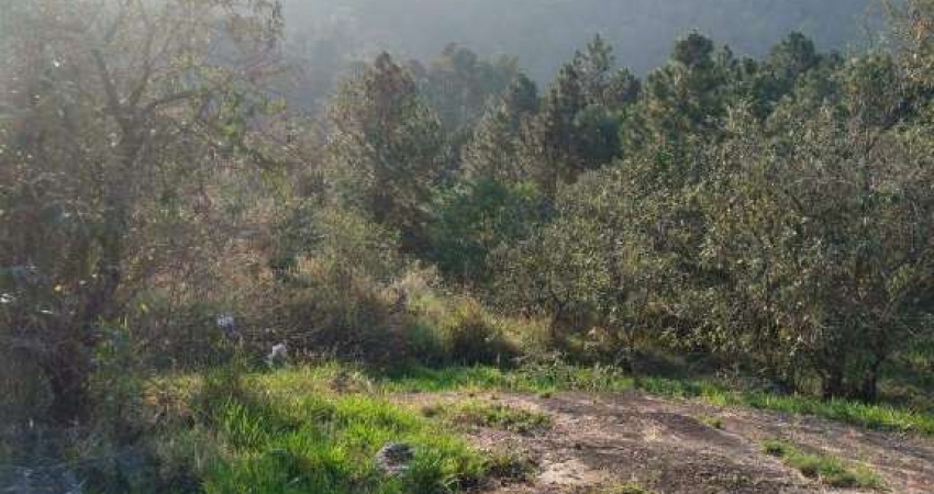 Terreno em condomínio fechado à venda na Estrada de Santo André, Sítio do Morro, Santana de Parnaíba