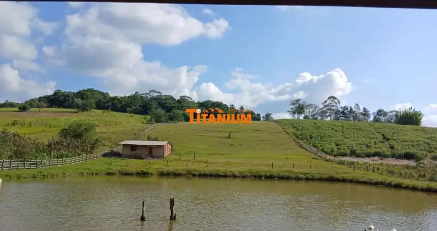 Chácara / sítio com 3 quartos à venda na Estrada dos Fidelis, 9723, Lomba Grande, Novo Hamburgo