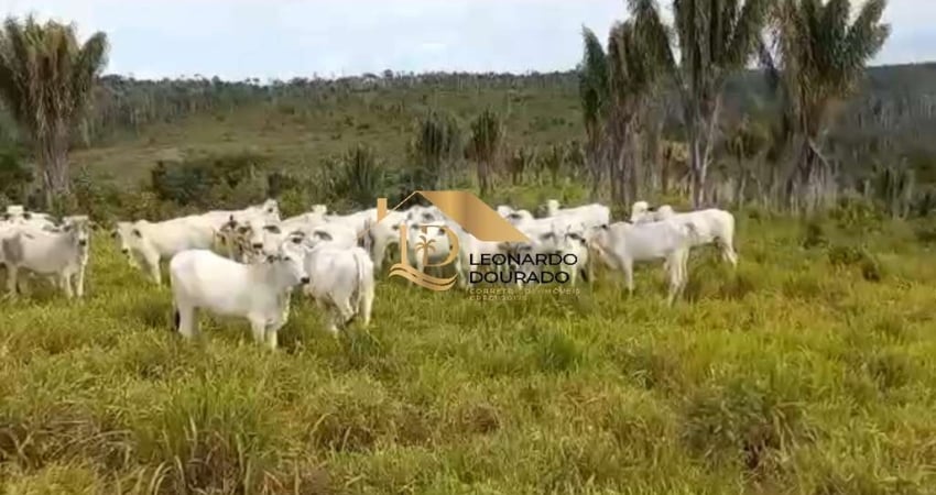Fazenda à venda na Rua Rio Bahia, Mangabinha, Itabuna