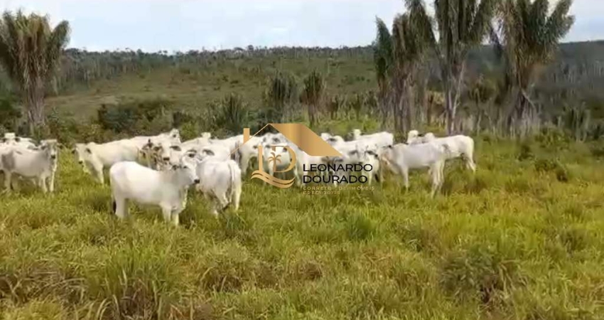 Fazenda à venda na Rua Rio Bahia, Mangabinha, Itabuna