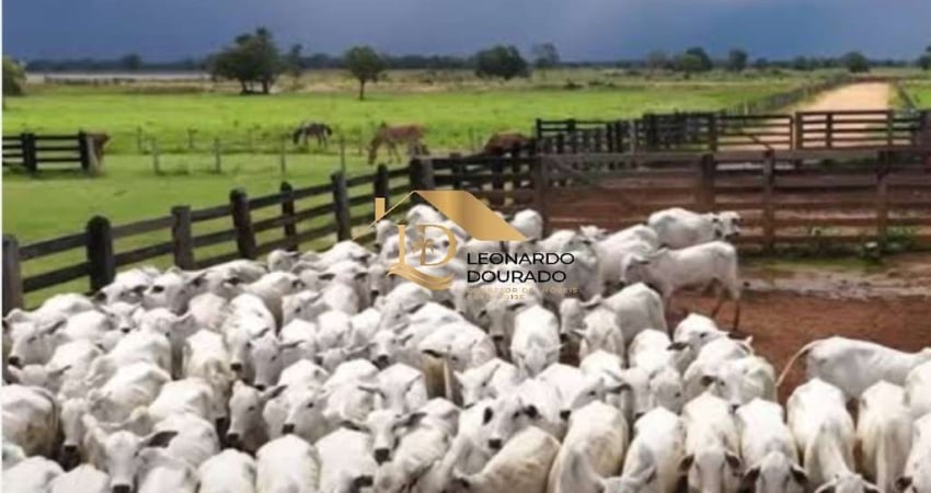 Fazenda à venda na Centro, Centro, Ipiaú