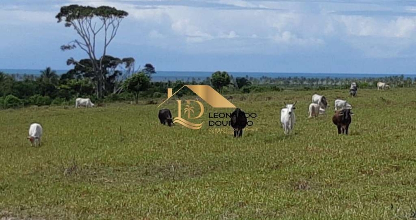 Fazenda à venda na Mogiquiçaba, Mogiquiçaba, Santa Cruz Cabrália