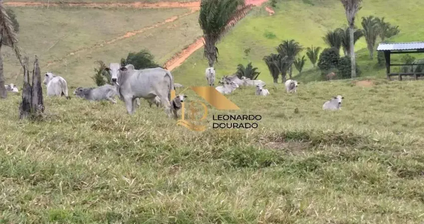 Fazenda à venda na Guaratinga, Zona Rural, Guaratinga